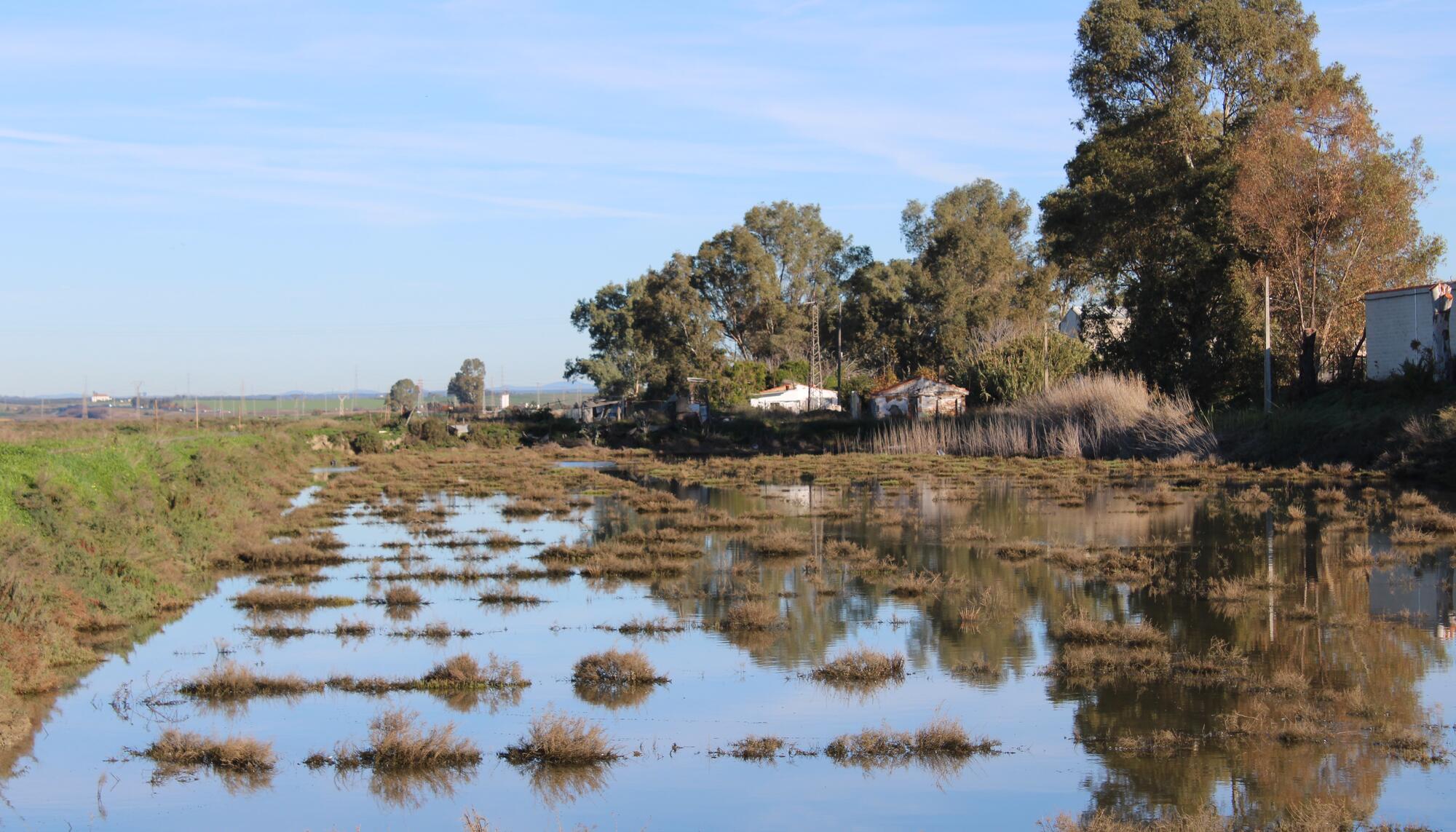 Salinas de Cardeñas